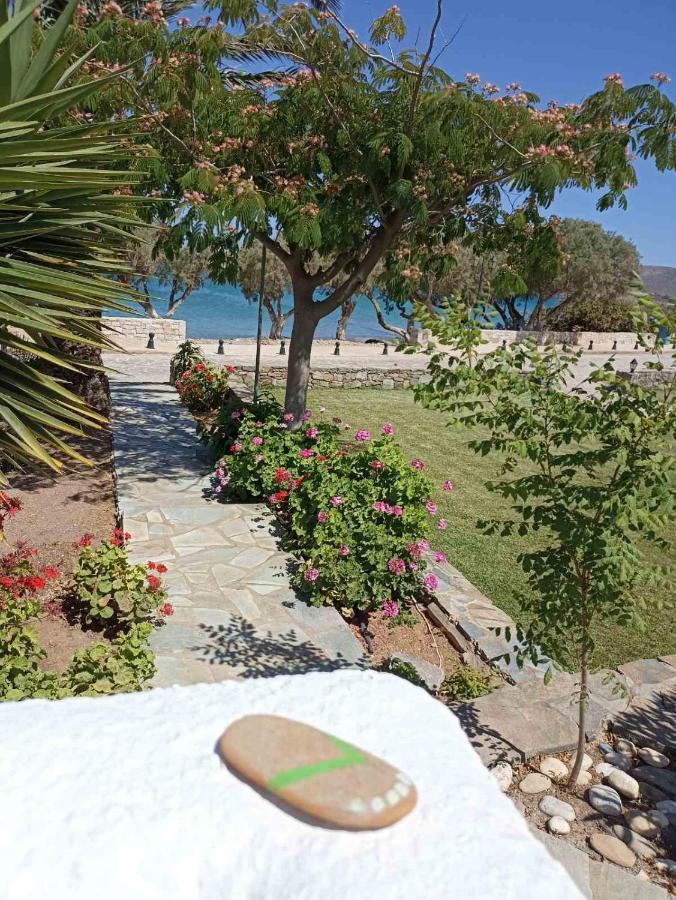 Grandes Apartments Sea Front Παλαίκαστρο Εξωτερικό φωτογραφία