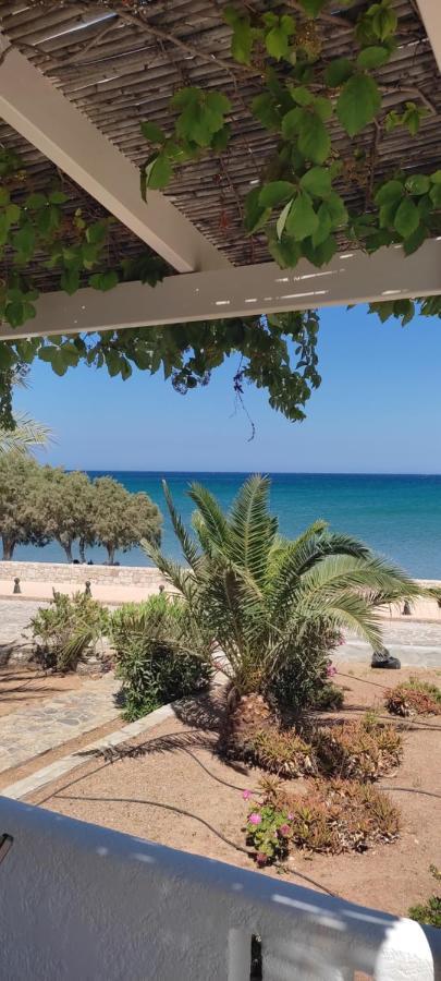 Grandes Apartments Sea Front Παλαίκαστρο Εξωτερικό φωτογραφία